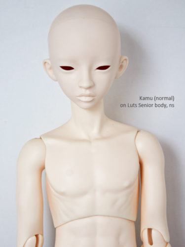 Kamu bodies Lutssd