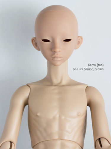Kamu bodies Lutssdb