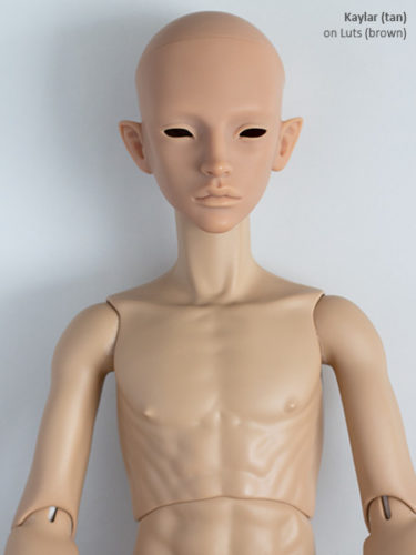 Kaylar luts