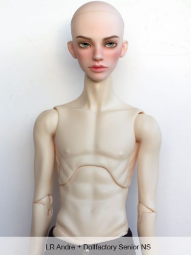 andre dollfactory