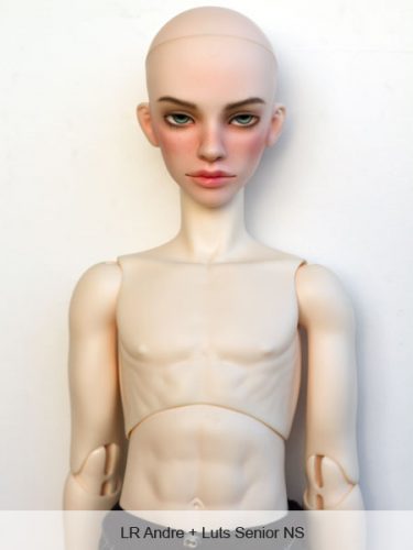 andre lutssenior