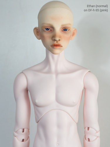 ethan body dfh pink