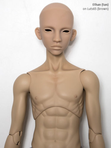 ethan body luts65brown