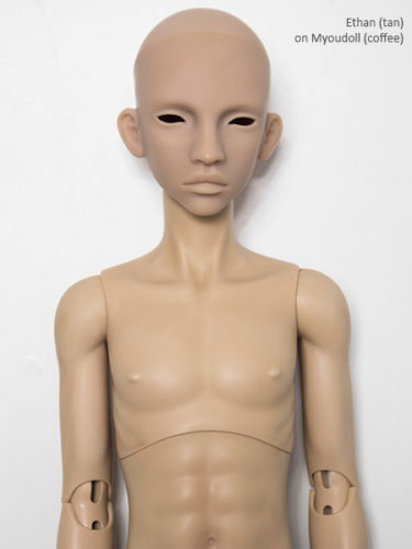 ethan body myoudoll coffee