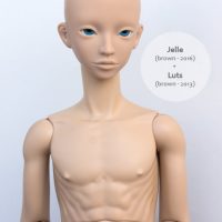 jelle luts brown