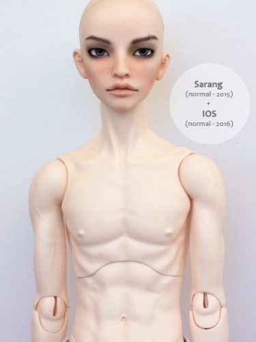 sarang ios