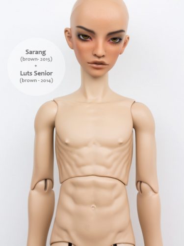 Sarang + luts Senior (brown skin)